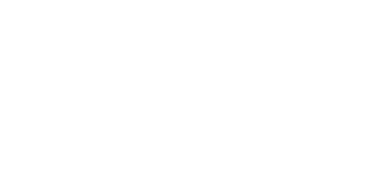 SETROPJUS